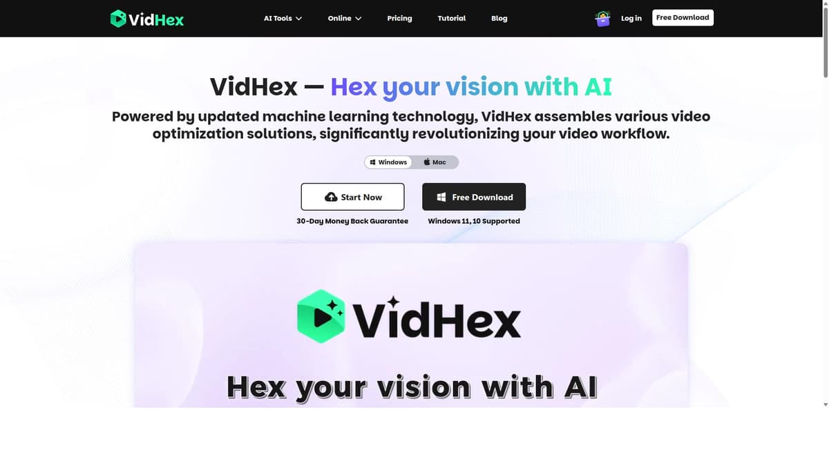 VidHex